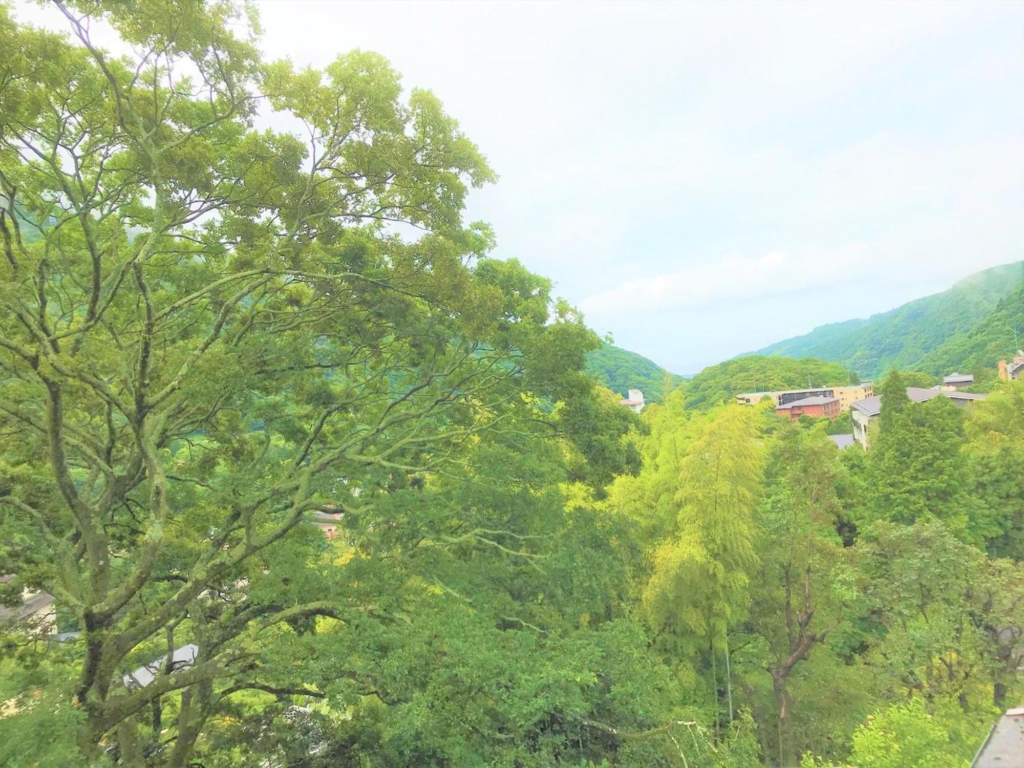 K'S House Hostels - Hakone Yumoto Onsen חדר תמונה