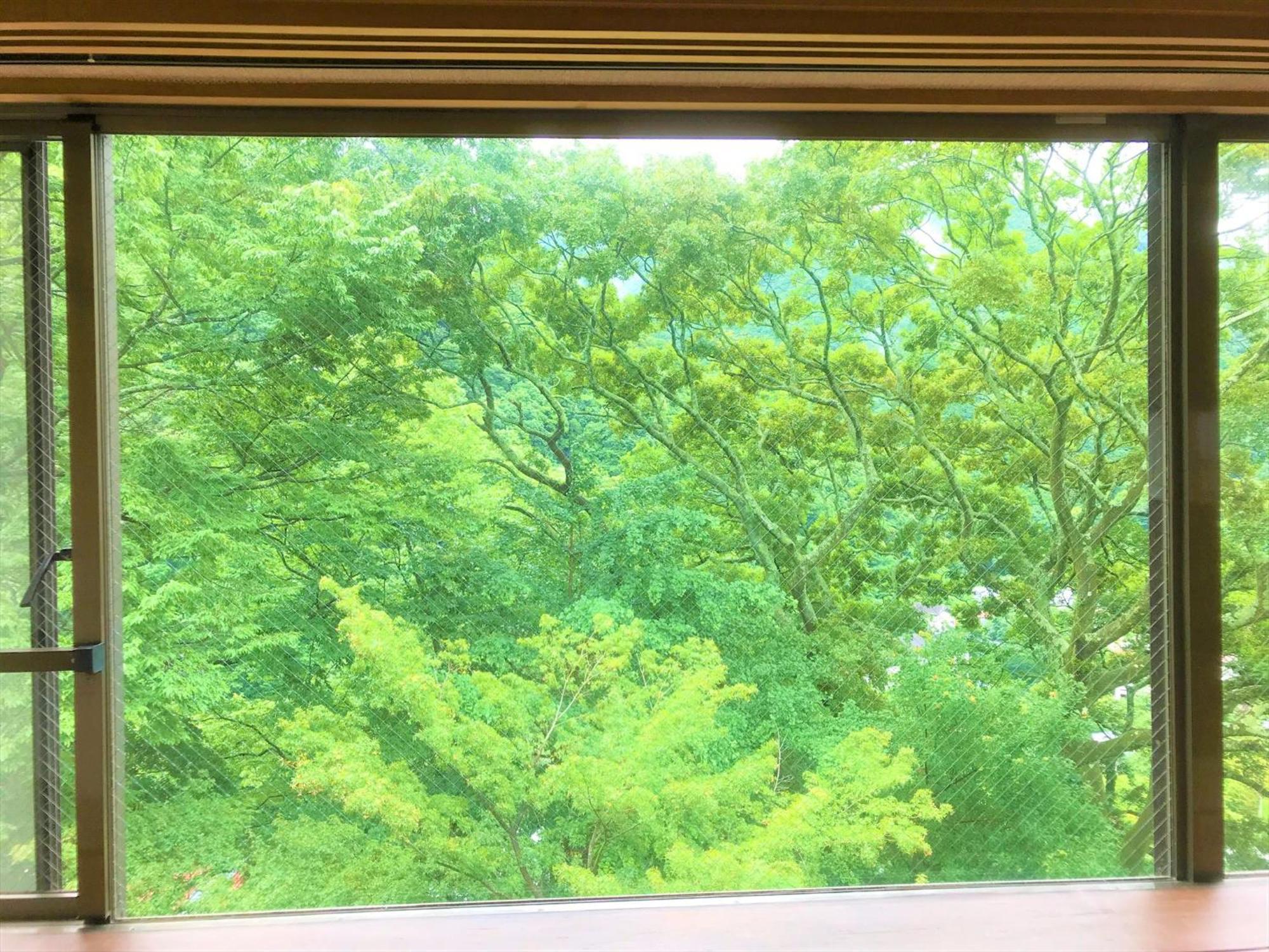 K'S House Hostels - Hakone Yumoto Onsen חדר תמונה